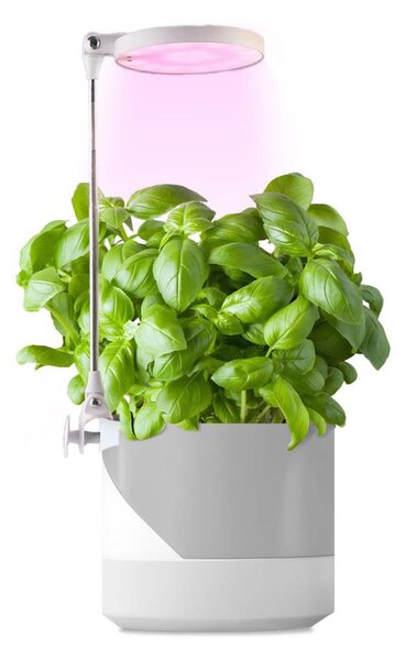 LED Lampada da interni per la coltivazione di piante LED/10W/5V 3200K