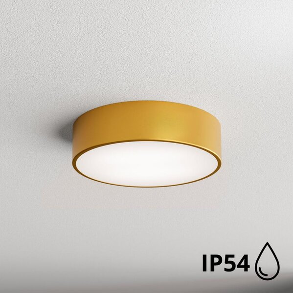 Brilagi - Plafoniera da bagno CLARE 2xE27/24W/230V diametro 30 cm IP54 oro