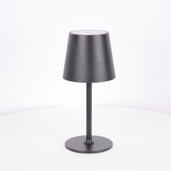 Globo 58438G - Lampada LED touch dimmerabile per esterni VANNIE LED/3W/3,7V IP44