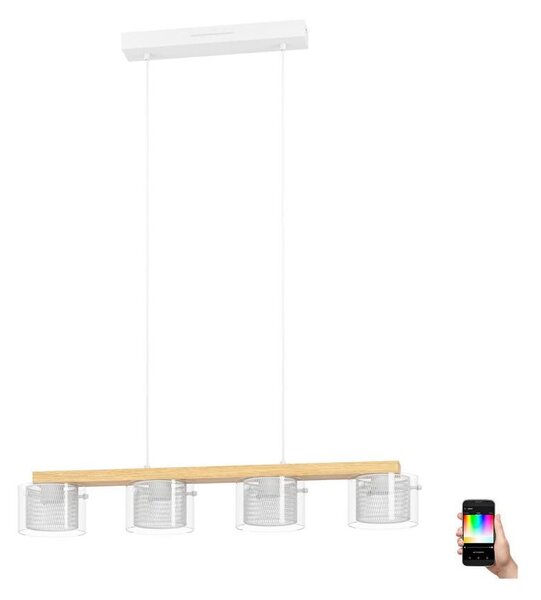 Eglo 900881 - LED RGBW Lampadario dimmerabile a sospensione con filo PORTICO-Z 4xLED/3,7W/230V