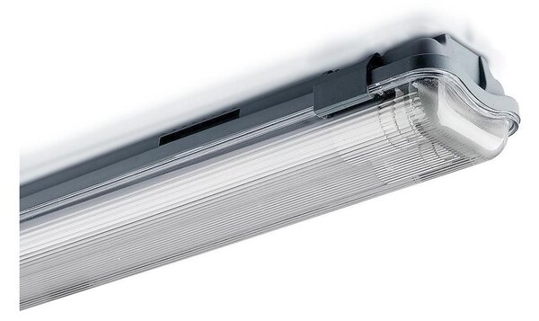 Lampada fluorescente tecnica LED T8 2xG13/22W/230V IP65 4000K 156 cm