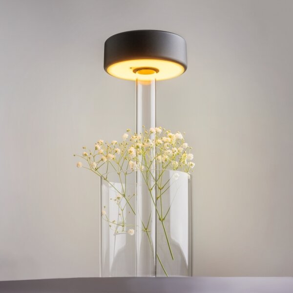 Maytoni MOD229TL-L3B3K1 - Lampada da tavolo LED dimmerabile 3W/5V nera/trasparen
