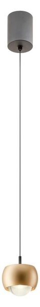 Redo 01-3547 - Lampadario LED a sospensione con filo AVES LED/12W/230V diametro 9,6 cm CRI 90 oro
