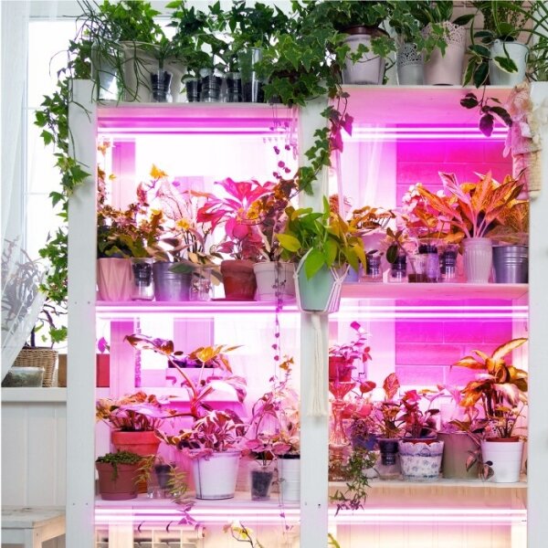 Lampada LED per coltivazione GROWLY 2xLED 8,5W 230V bianco
