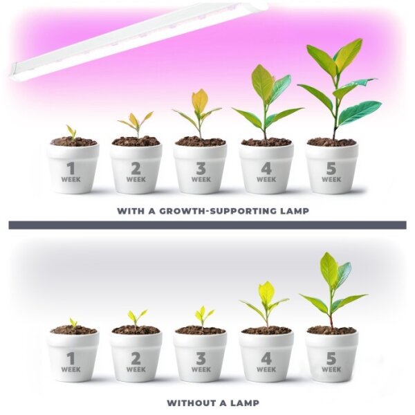 Lampada LED per coltivazione GROWLY 2xLED 8,5W 230V bianco
