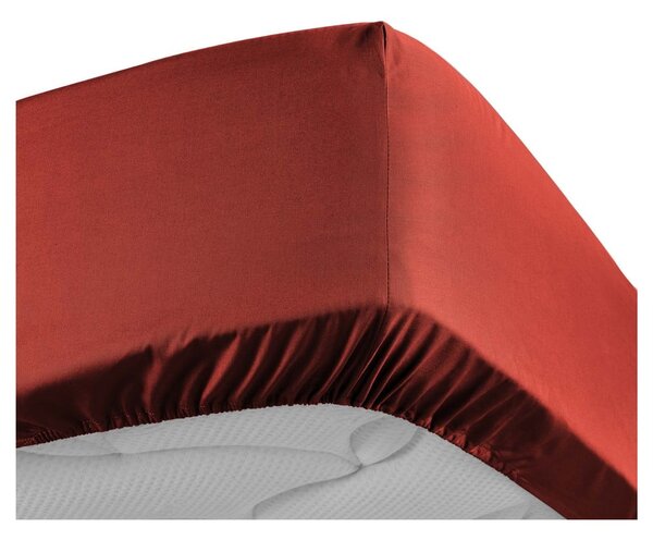 Lenzuolo elasticizzato in percalle di cotone color mattone 180x200 cm Percaline - douceur d'intérieur