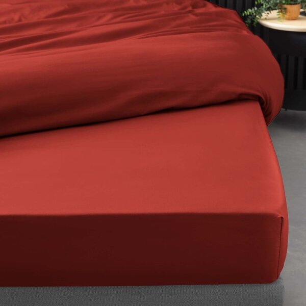 Lenzuolo elasticizzato in percalle di cotone color mattone 180x200 cm Percaline - douceur d'intérieur