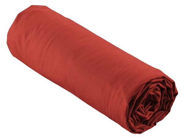Lenzuolo elasticizzato in percalle di cotone color mattone 180x200 cm Percaline - douceur d'intérieur