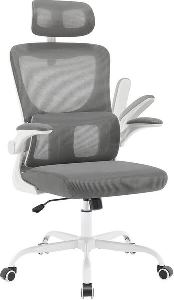 Sedia da ufficio ergonomica WOLTU, sedia da scrivania in tessuto a rete, regolabile in altezza: Grigio Colore: Grigio