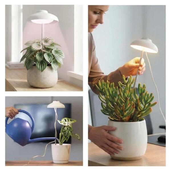 Lampada LED da interno per la coltivazione di piante GROW LED/5W/5V