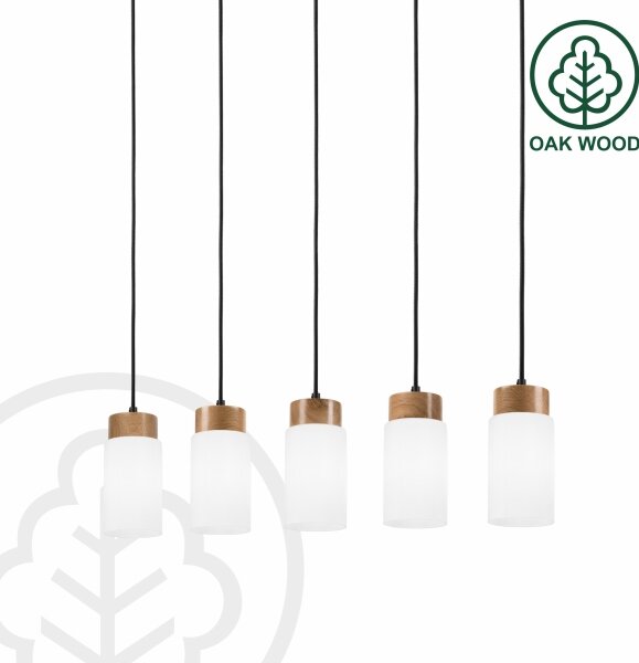 Lampadario a cavo MARKUS 5xE27/15W/230V nero/rovere