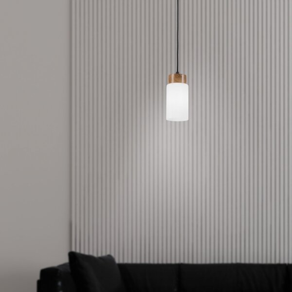 Lampada a sospensione con cavo MARKUS 1xE27/15W/230V nero/rovere