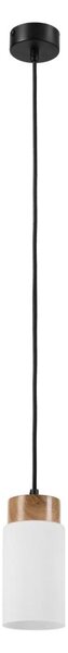 Lampada a sospensione con cavo MARKUS 1xE27/15W/230V nero/rovere