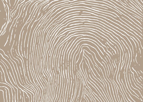 Carta da parati Le linee naturali creano un motivo unico, Carta da parati lastrazione, Carta da parati popolare, t00876 - Tapeko.it