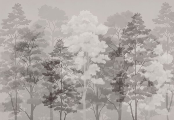 Carta da parati Gruppo di alberi in un paesaggio avvolto dalla nebbia, Carta da parati Natura, Carta da parati popolare, t00860 - Tapeko.it