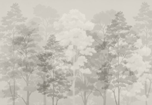 Carta da parati Gruppo di alberi in una foresta avvolta dalla nebbia, Carta da parati Natura, Carta da parati popolare, t00860v1 - Tapeko.it