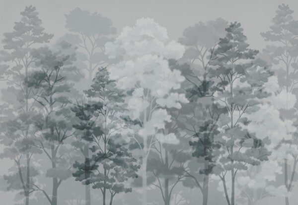 Carta da parati Gruppo di alberi in un paesaggio avvolto dalla nebbia, Carta da parati Natura, Carta da parati popolare, t00860v3 - Tapeko.it