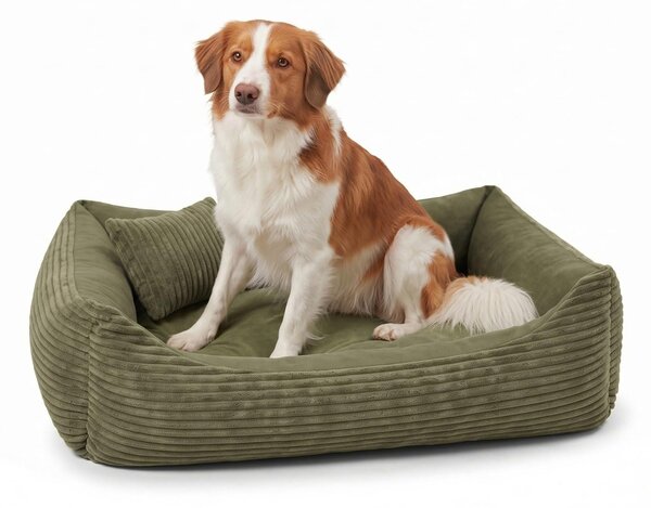 4L Textil: Cuccia per cani in tessuto Manchester con bordo, rivestimento removibile e lavabile, adatta a cani di taglia media, dimensioni 100x80 cm, colore verde oliva