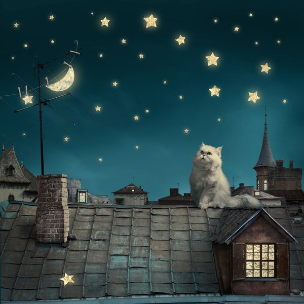 Carta da parati Gatto tra le stelle, Gatti e gattini, Il mondo degli animali - Tapeko.it