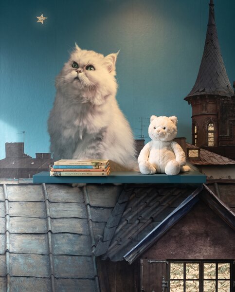 Carta da parati Gatto tra le stelle, Gatti e gattini, Il mondo degli animali - Tapeko.it