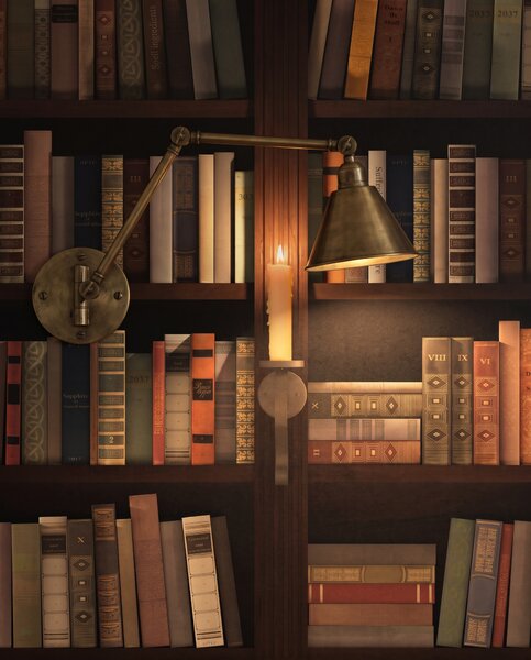 Carta da parati Biblioteca in ombra calda, Città e architettura, Effetto 3D - Tapeko.it