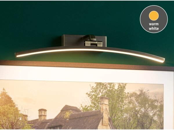 Paulmann 95561 - LED/10W Lampada per quadri BENTO 230V 50 cm ottone