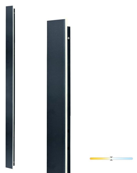 Applique da esterno MIRANA LED/25W/230V 4000K IP44 120 cm nera