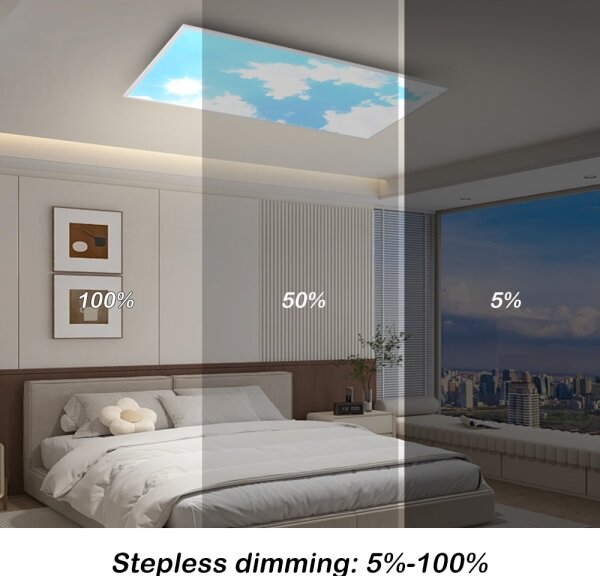 Brilagi - plafoniera LED dimmerabile SLIMFRAME SKY LED/80W/230V 120x60 cm argento/blu + telecomando