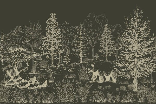 Carta da parati Orso a passeggio nel bosco, Carta da parati animali, Carta da parati popolare, w02929v3 - Tapeko.it