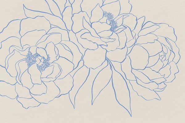 Carta da parati Disegno di fiori su una superficie bianca, Carta da parati Peonie, Carta da parati popolare, w08714v1 - Tapeko.it