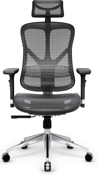 Silecomplaza - Sedia da ufficio ergonomica V-Basic, sedia da scrivania con supporto lombare