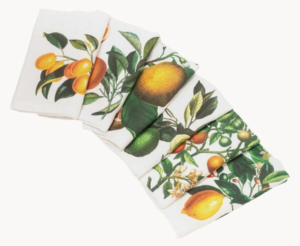 Set di 6 tovaglioli in lino Citrus
