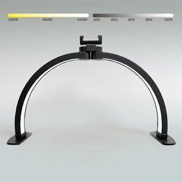 Brilagi - Lampada ad arco LED dimmerabile RADIO LED/25W/24V 3000-6500K nera
