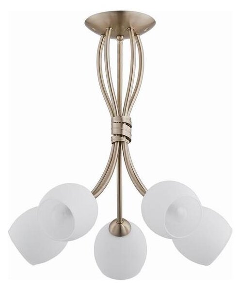 Lampadario a plafone BUENA 5xE14/10W/230V oro