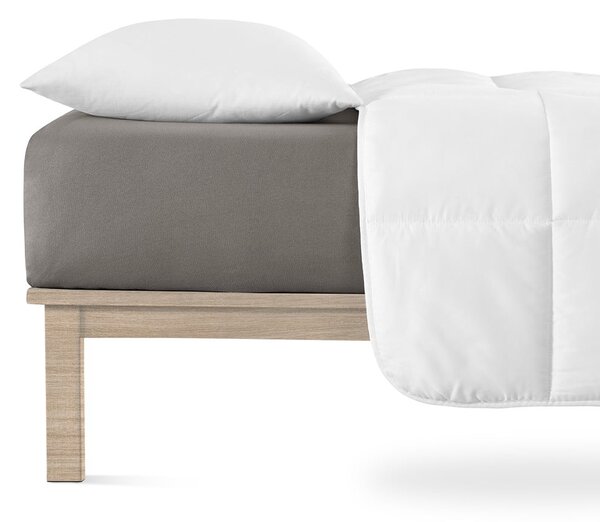 Lenzuolo elasticizzato in jersey grigio scuro 90x200 cm Boxspring - Andrea Simone