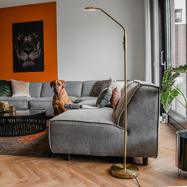 Lampada da terra moderna bronzo incl. LED - Eva