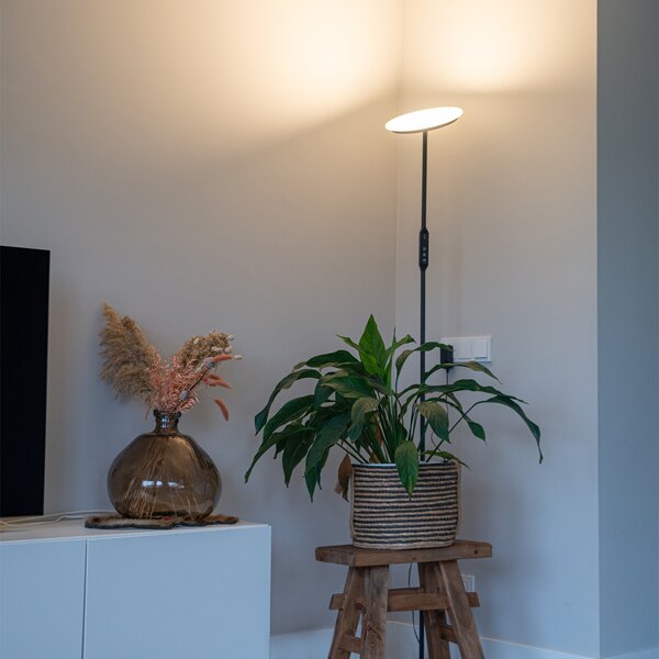 Lampada da terra nera con LED incluso e telecomando - Bumu