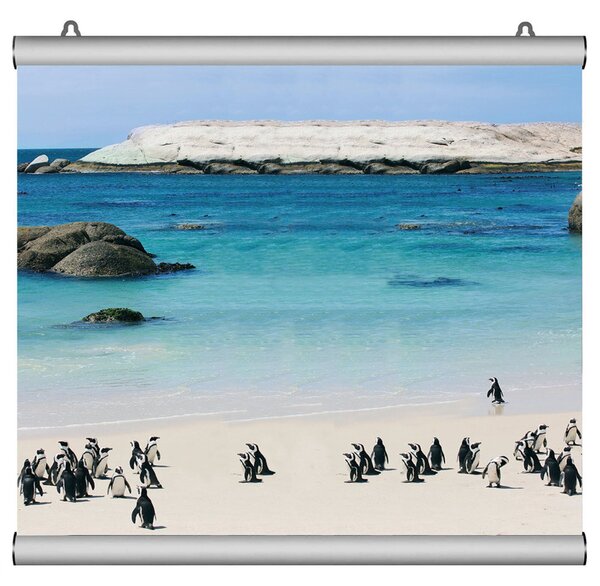 Poster Snap da Parete 120 cm in Alluminio Silver - Barra Porta Poster Monofacciale a Scatto, Grafica Intercambiabile