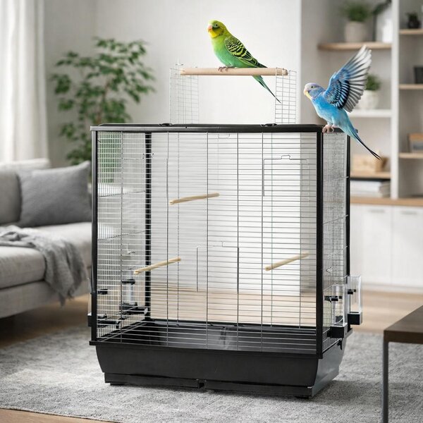 Gabbia per uccelli di grandi dimensioni pappagallino canarino budgerigar grande con posti a sedere all'aperto