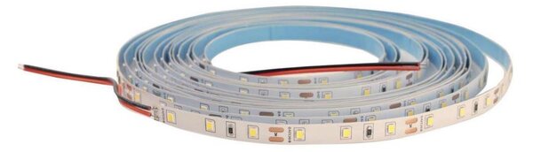 Striscia bagno LED DAISY 5m bianco caldo
