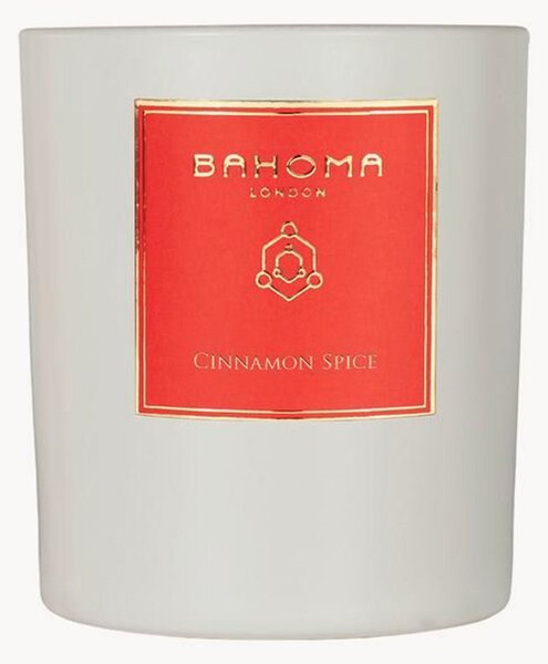 Candela profumata Cinnamon Spice (mandarino, cannella)