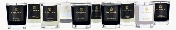 Set di 10 candele profumate fatte a mano Discovery Collection (agrumi, fiori e legni)