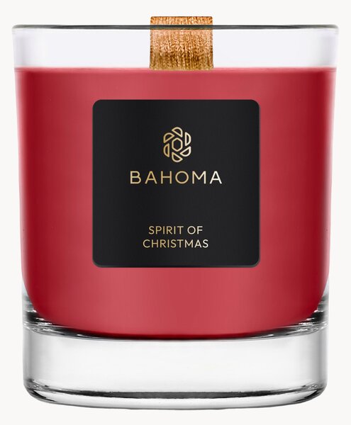 Candela profumata fatta a mano Sprit of Christmas (ribes, chiodi di garofalo & ambra)