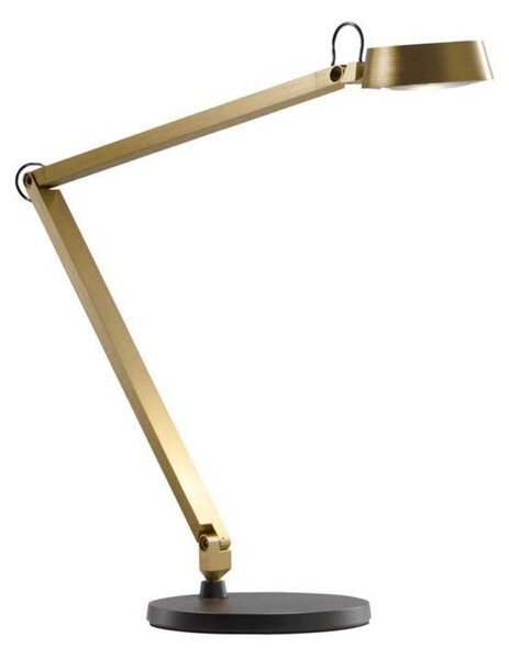 Lampade da tavolo LIGHT-POINT, dimmerabile, Dorato / Ottone, Soggiorno, Alluminio