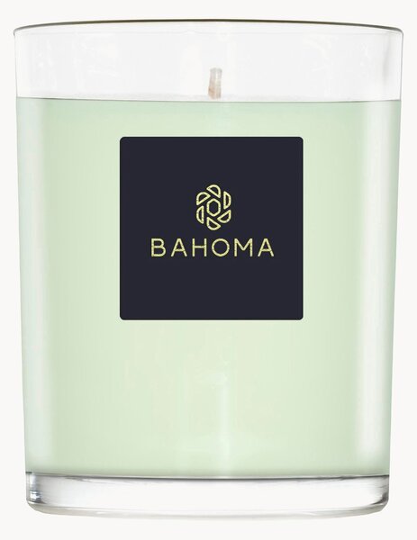 Candela profumata fatta a mano Alchemy (primula, legno d'ambra)