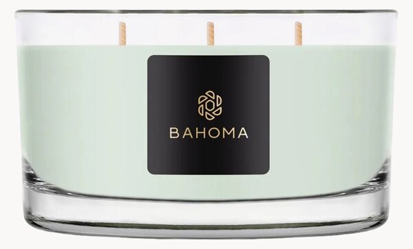 Candela con 3 stoppini fatta a mano in scatola regalo Bahoma (primula, legno di ambra)