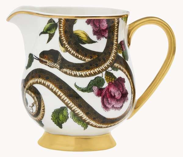 Brocca latte in Fine China Creatures of Curiosity