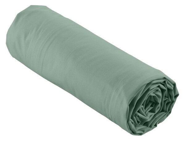 Lenzuolo verde in percalle di cotone elasticizzato 160x200 cm Percaline - douceur d'intérieur