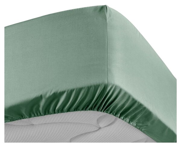 Lenzuolo verde in percalle di cotone elasticizzato 160x200 cm Percaline - douceur d'intérieur