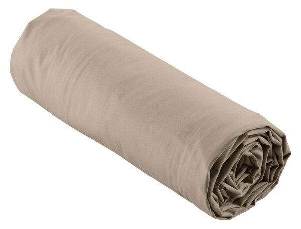 Lenzuolo in percalle di cotone elasticizzato marrone chiaro 180x200 cm Percaline - douceur d'intérieur